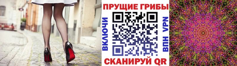 Купить где  Щёкино  Псилоцибиновые грибы мухоморы 