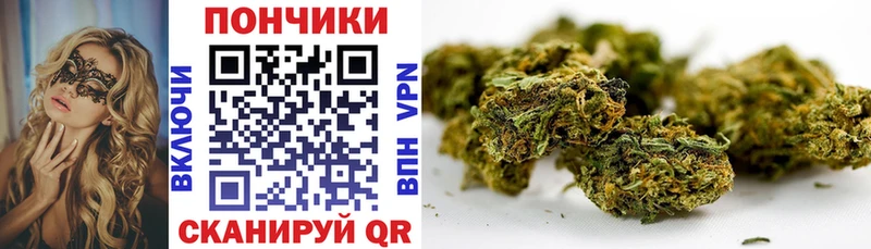 Купить закладки  Щёкино  Каннабис гибрид 